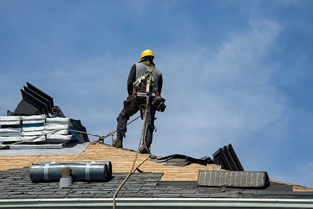 Professional Roofing technician working in Alamo, CA